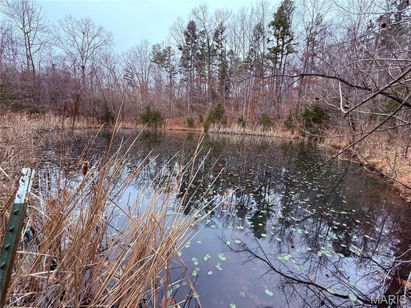 833 County Road 160 , Des Arc, MO 63636