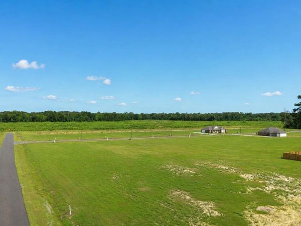 13509 Eagles Park Drive, Denham Springs, LA 70726