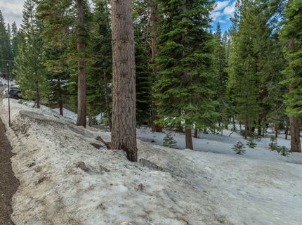 10694 Ponderosa Drive, Truckee, CA 96161 Photo