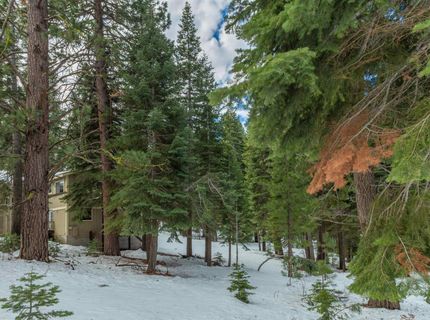 10694 Ponderosa Drive, Truckee, CA 96161 Photo