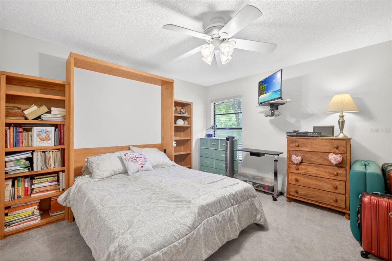 5035 Barrowe Drive, Tampa, FL 33624 Photo