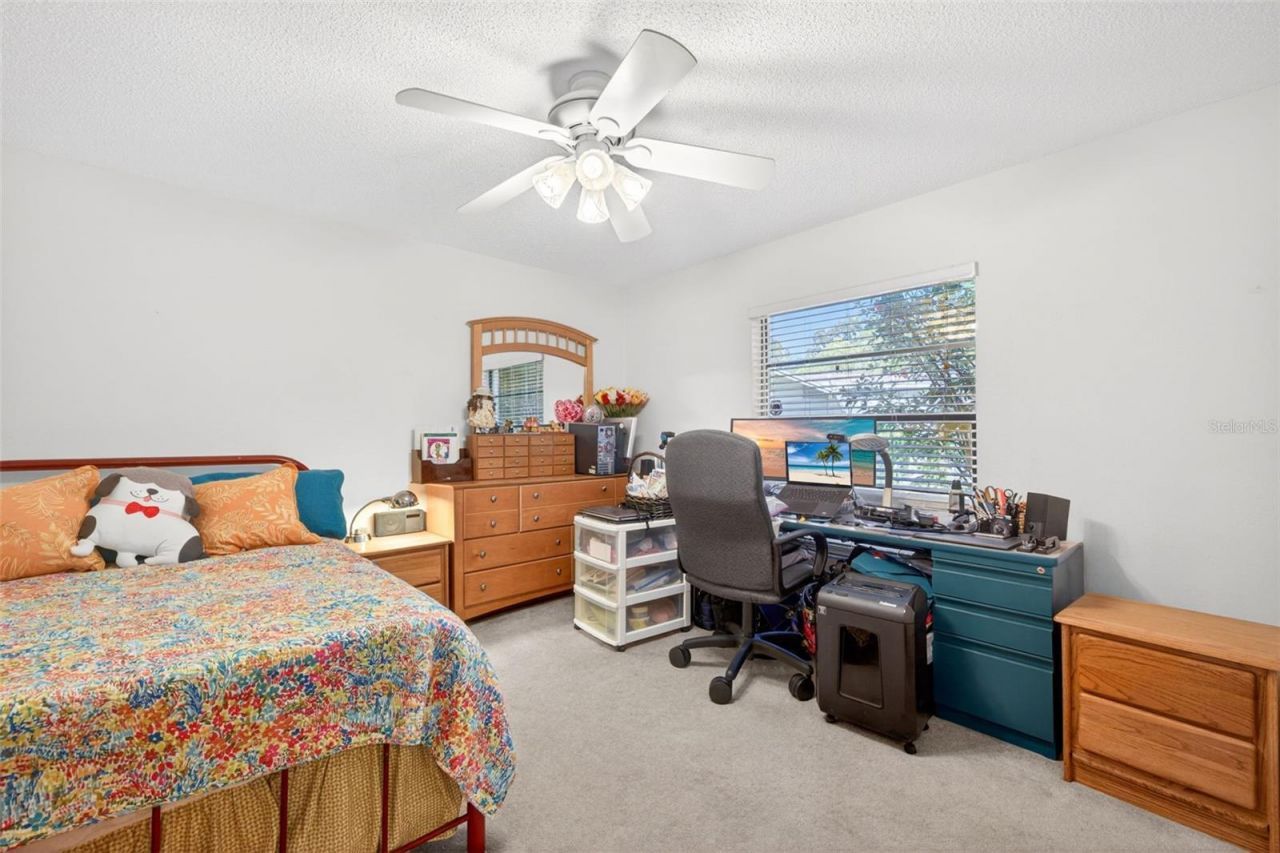 5035 Barrowe Drive, Tampa, FL 33624 Photo