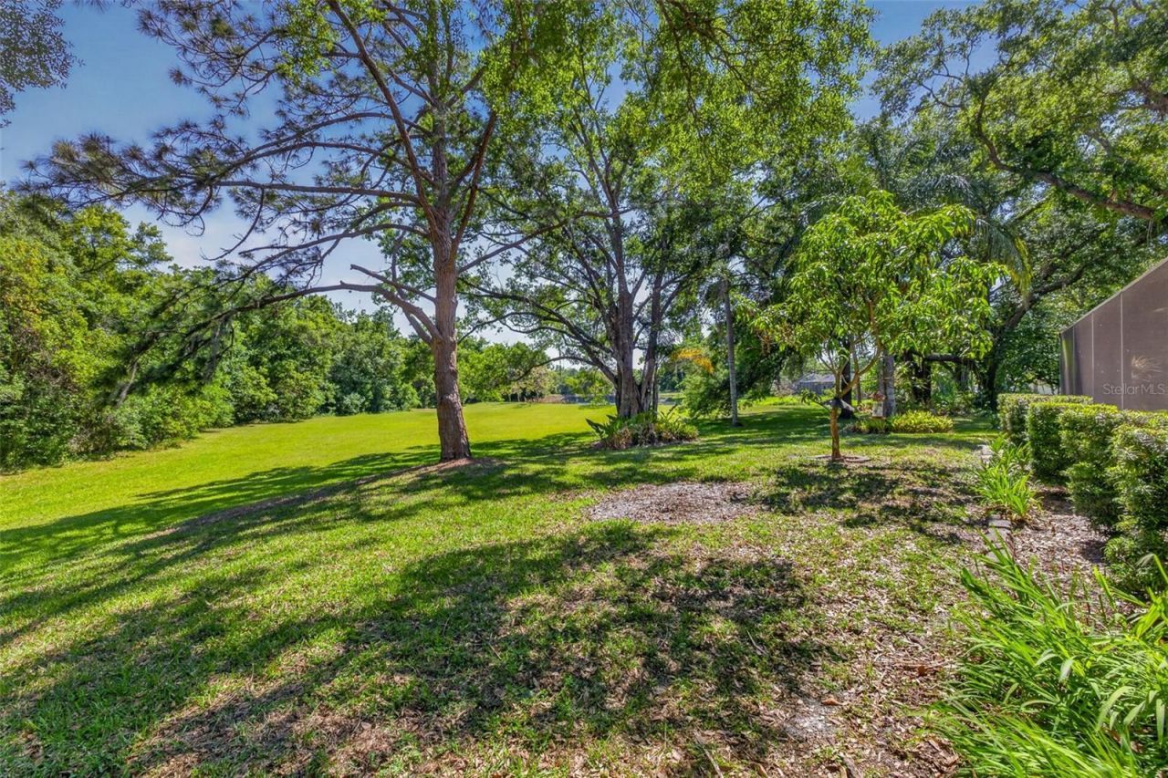 5035 Barrowe Drive, Tampa, FL 33624 Photo