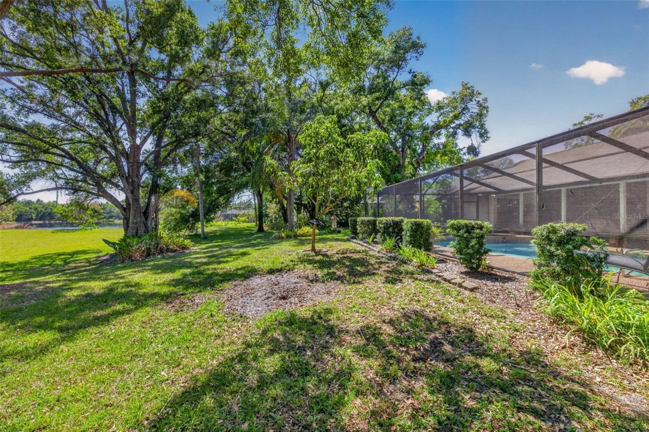 5035 Barrowe Drive, Tampa, FL 33624 Photo