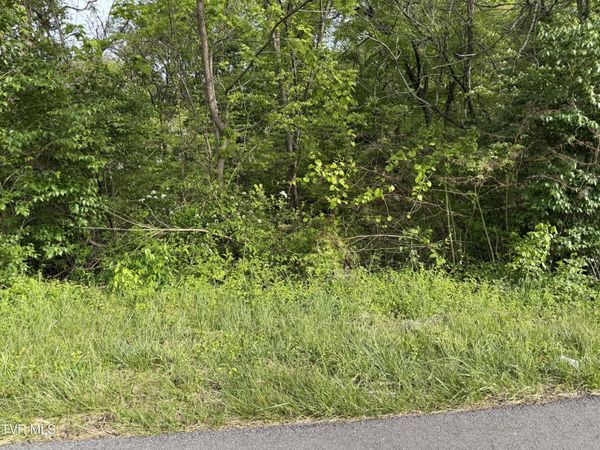 1725 Reedy Creek Road, Kingsport, TN 37664