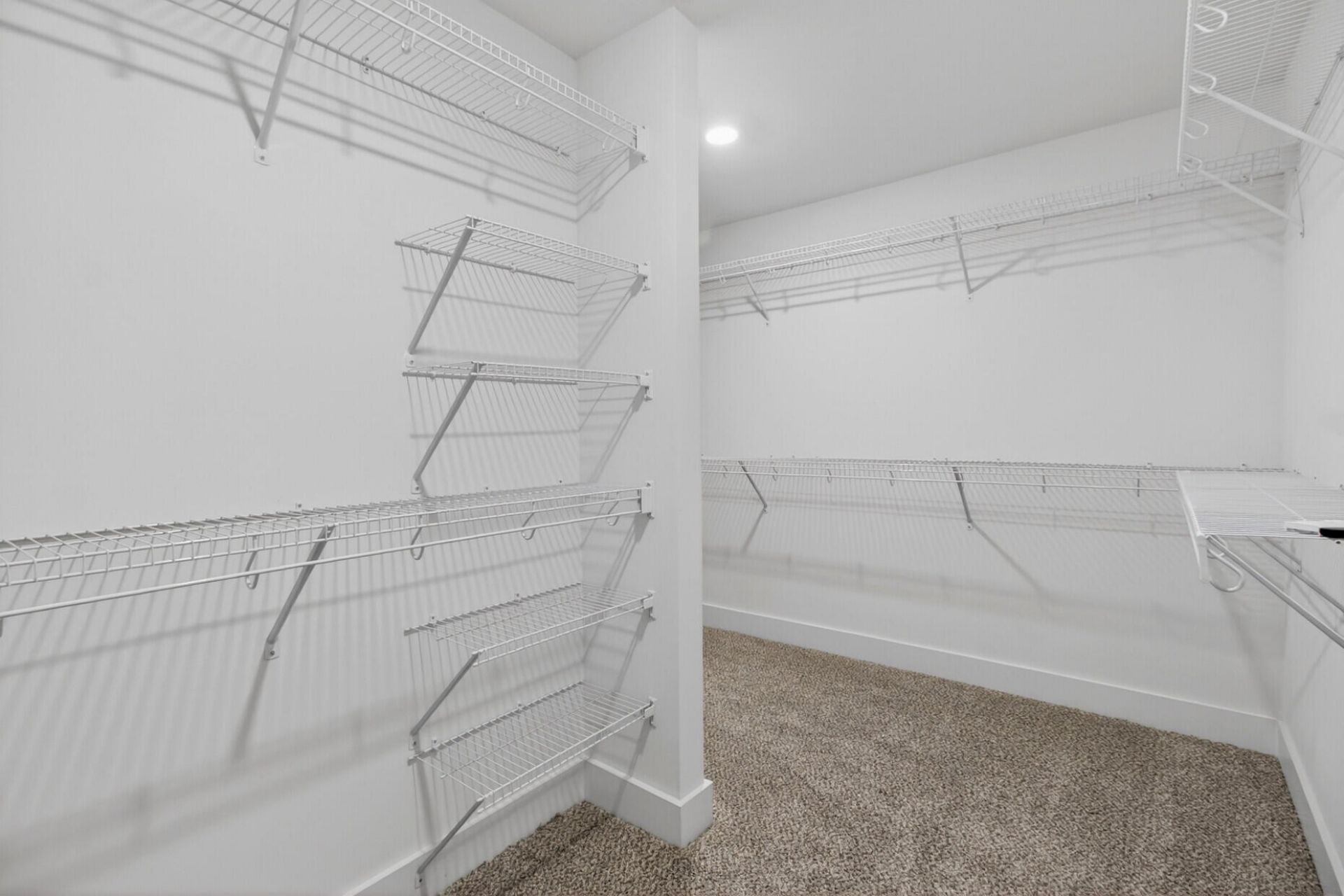 277 Fiddleback Drive Photo 34