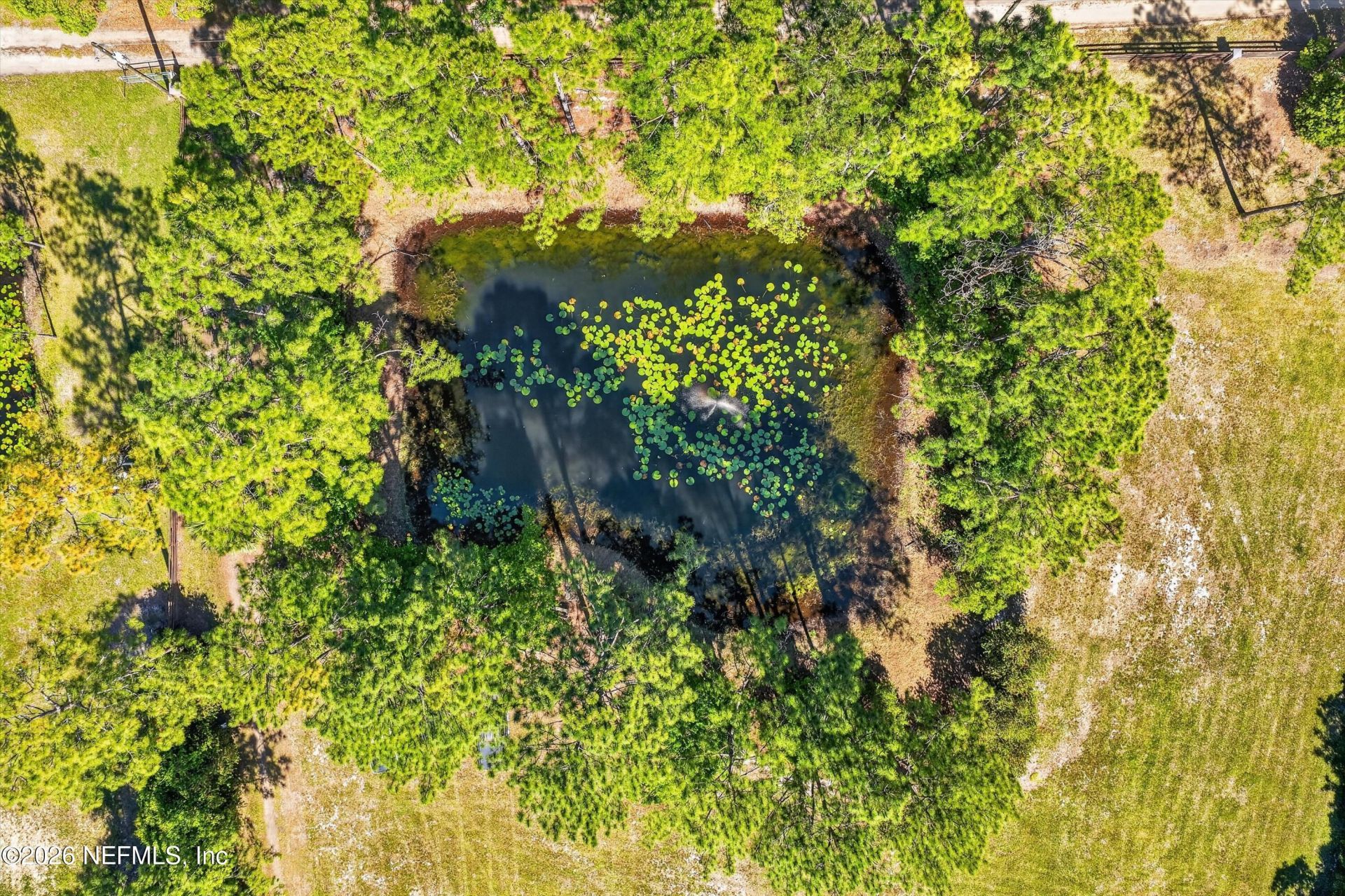 163 Sunny Lane, Pomona Park, FL 32181 Photo