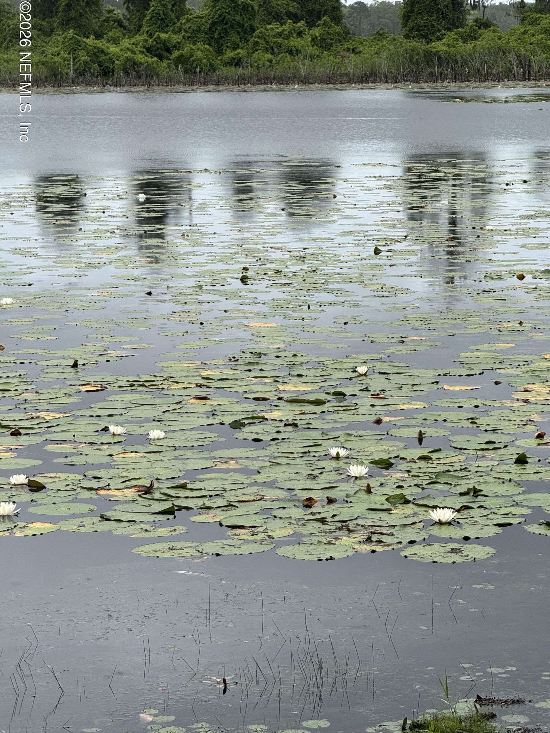 163 Sunny Lane, Pomona Park, FL 32181 Photo