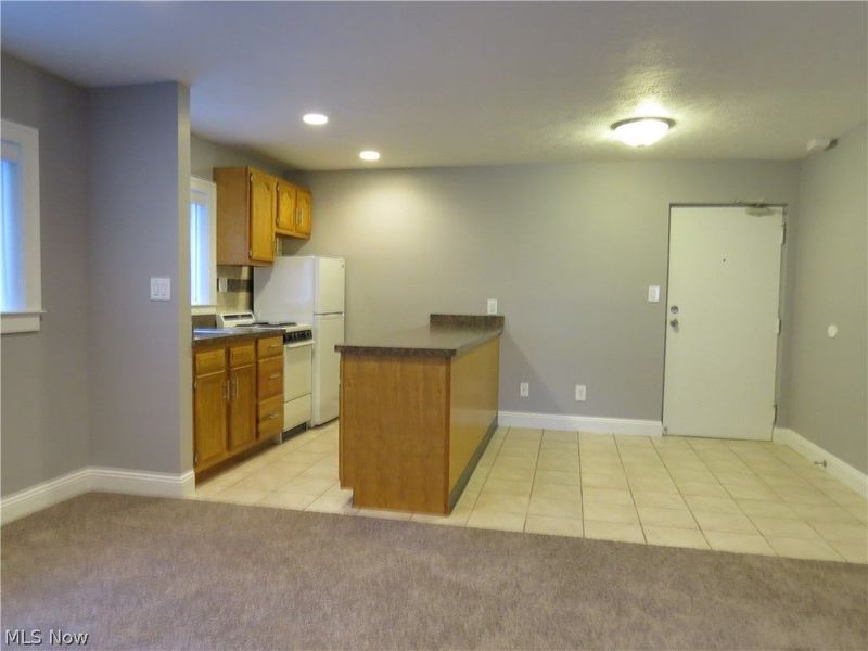 1675 Woodward Avenue, Unit 3, Lakewood, OH 44107 Photo 9