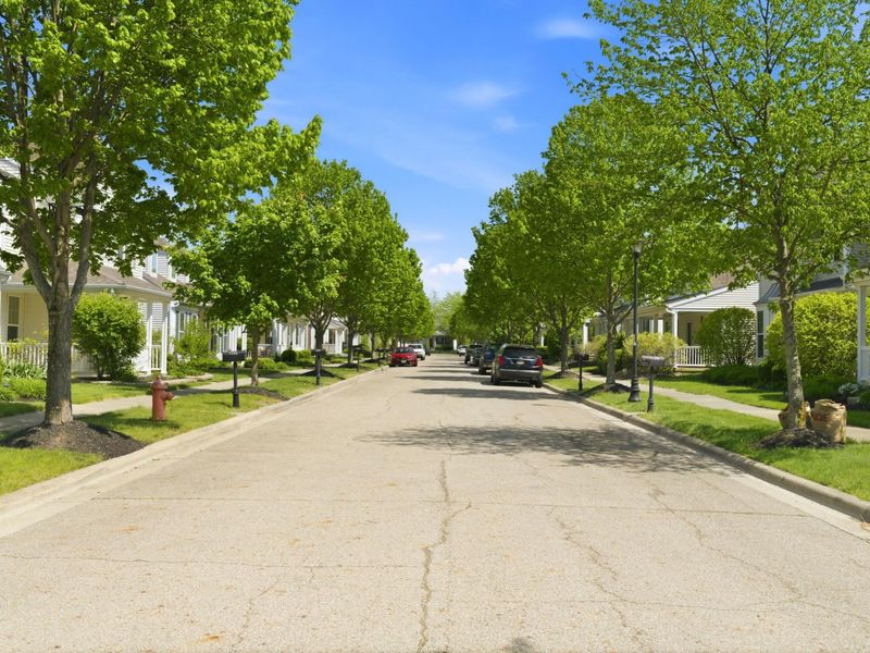 7165 Alma Terrace Drive, New Albany, OH 43054 Photo 56