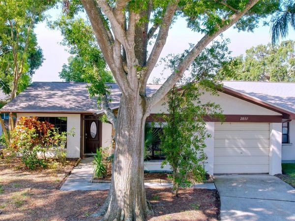 2031 DOVER COURT , OLDSMAR, FL 34677