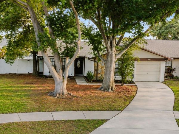 2031 DOVER COURT, OLDSMAR, FL 34677