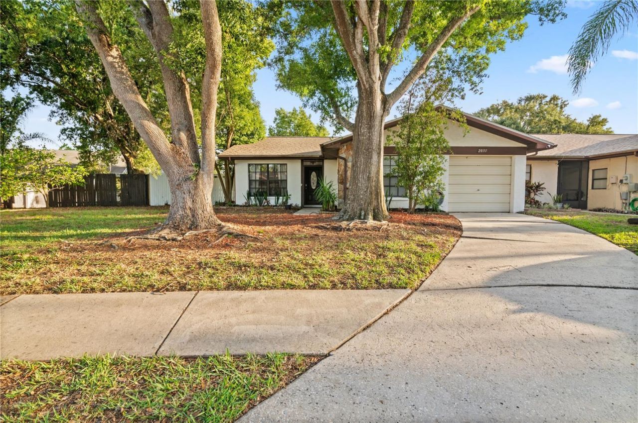 2031 Dover Court, Oldsmar, FL 34677 Photo