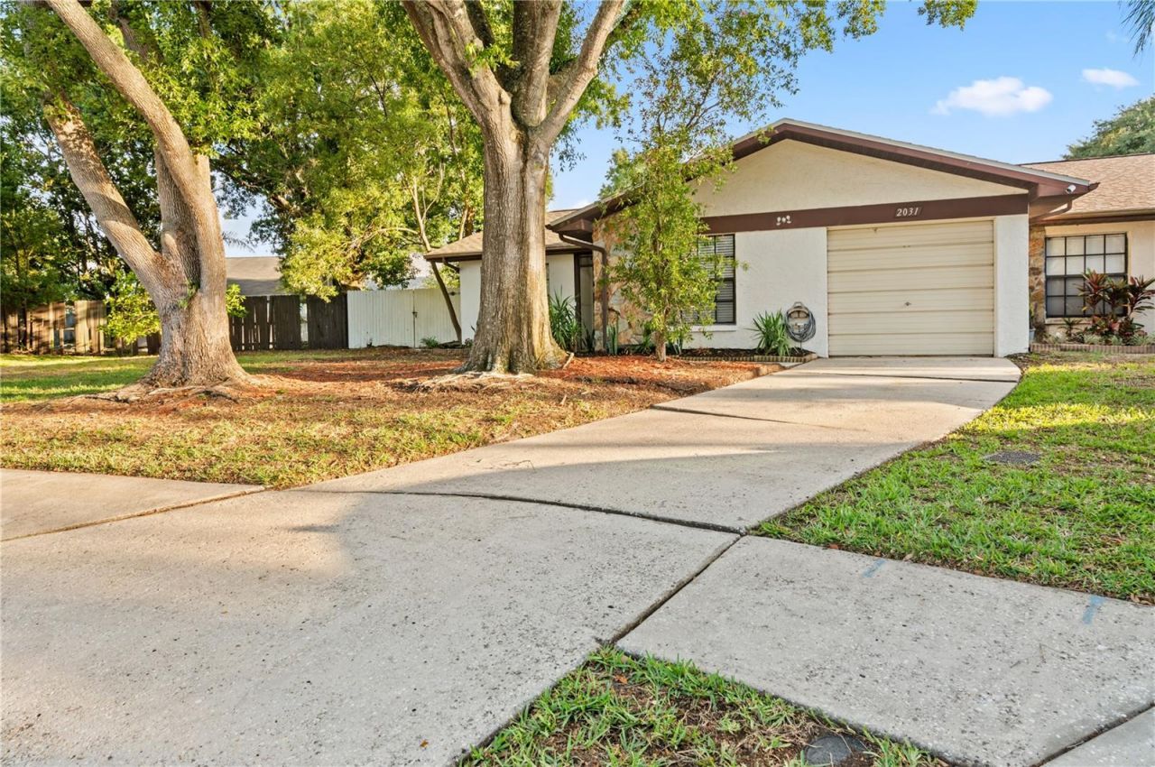 2031 Dover Court, Oldsmar, FL 34677 Photo