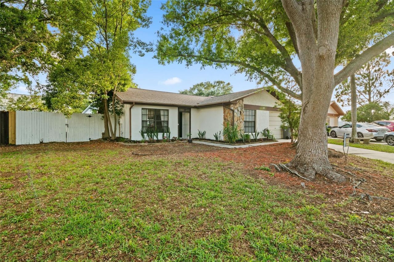 2031 Dover Court, Oldsmar, FL 34677 Photo
