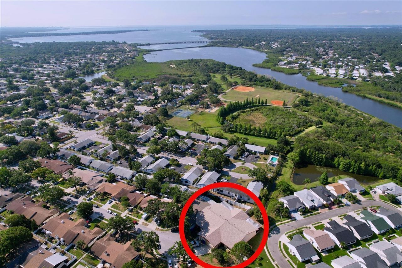 2031 Dover Court, Oldsmar, FL 34677 Photo