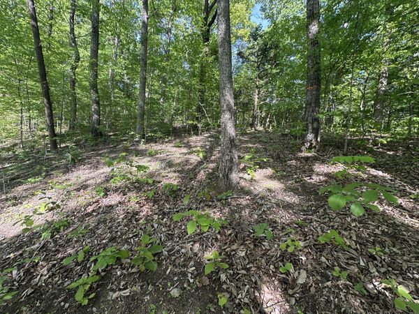 00 Deerfoot Road, Cosby, TN 37722