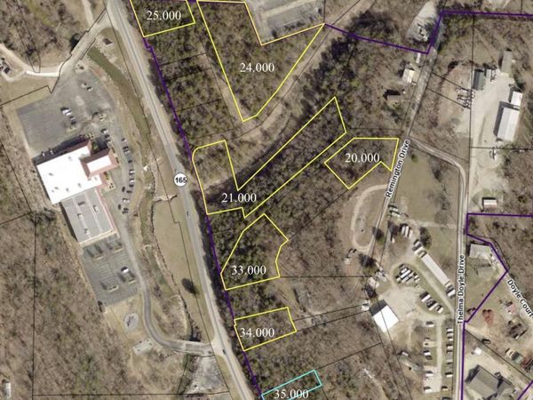 000 State Highway 165 , Branson, MO 65616