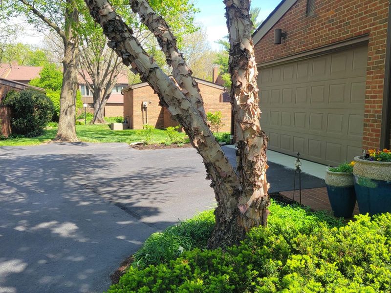 135 Glen Circle, Worthington, OH 43085 Photo 12