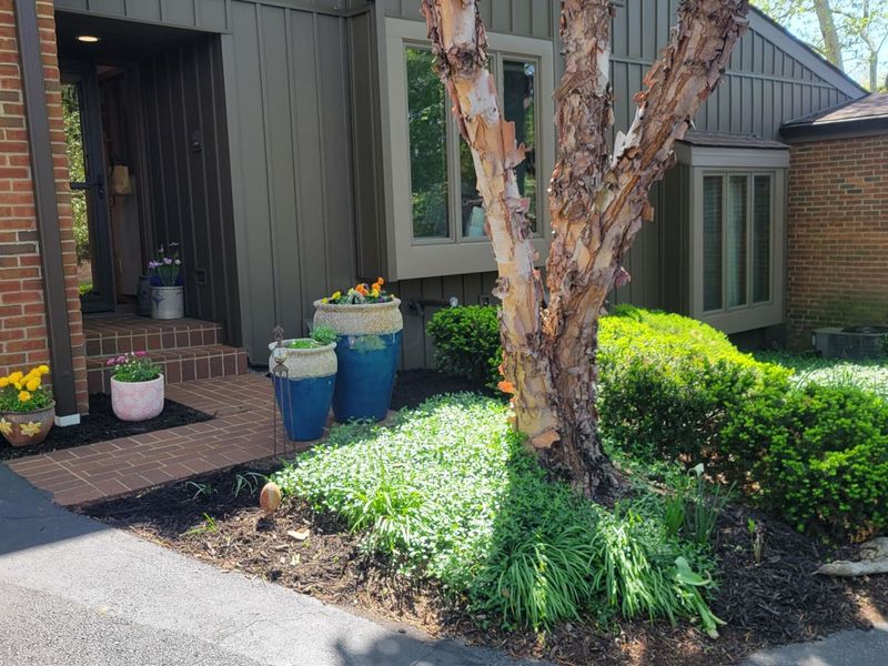 135 Glen Circle, Worthington, OH 43085 Photo 4