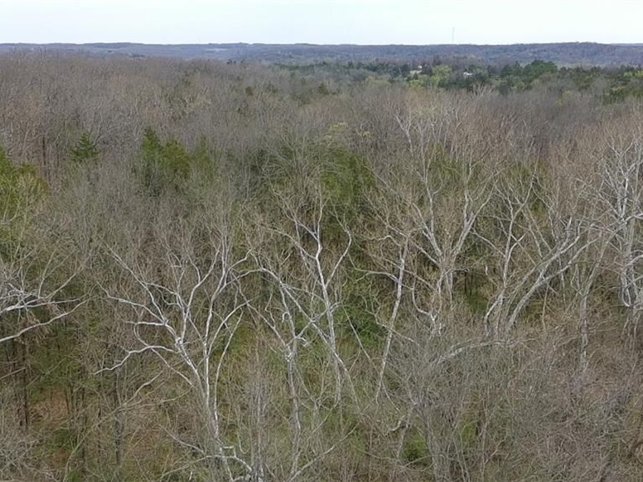 Property Image 11