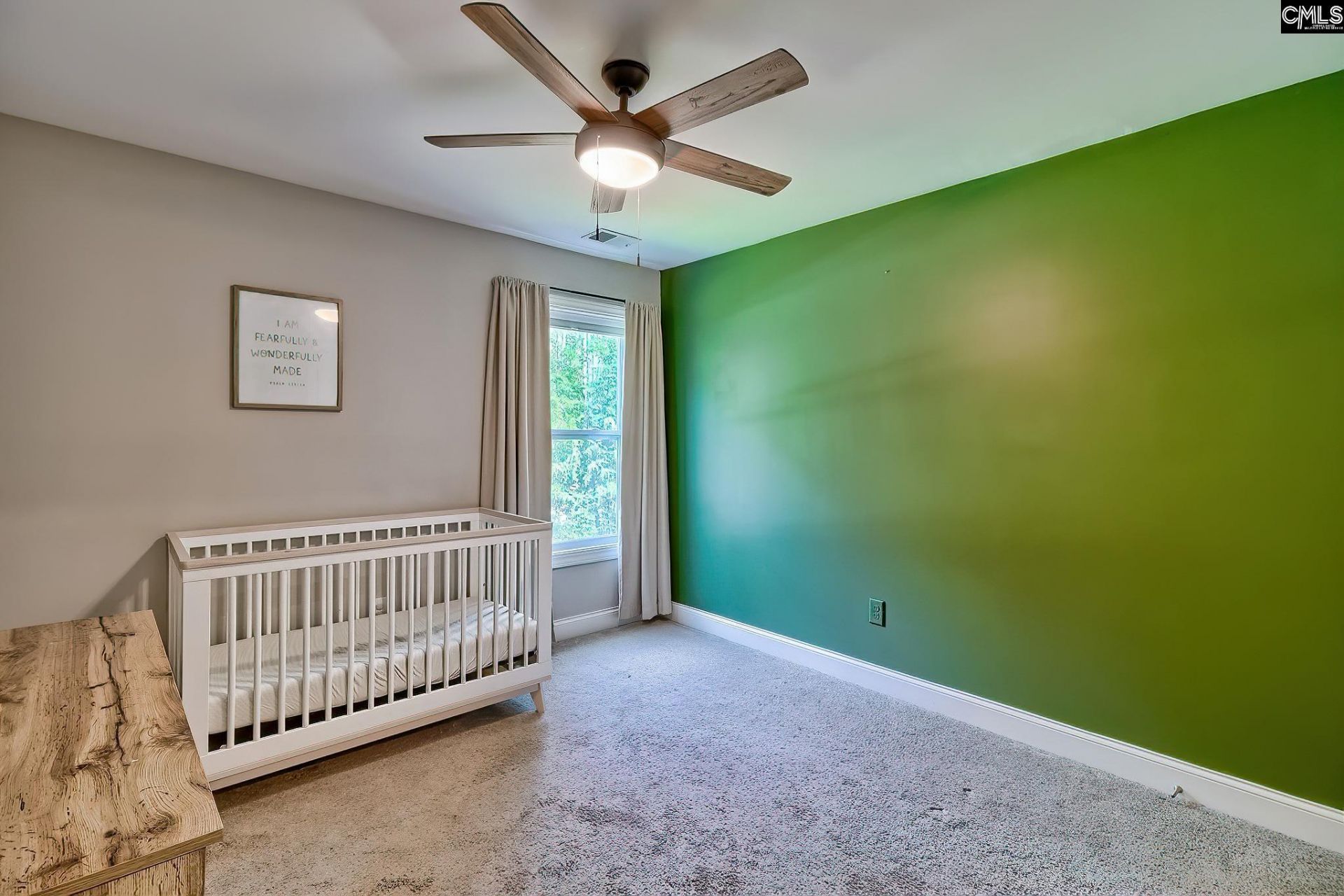 101 Black Creek Lane  Photo 18