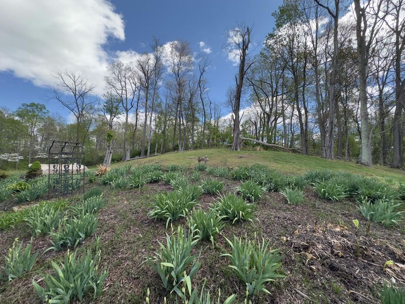 33165 Blackburn Road, Logan, OH 43138 Photo 31