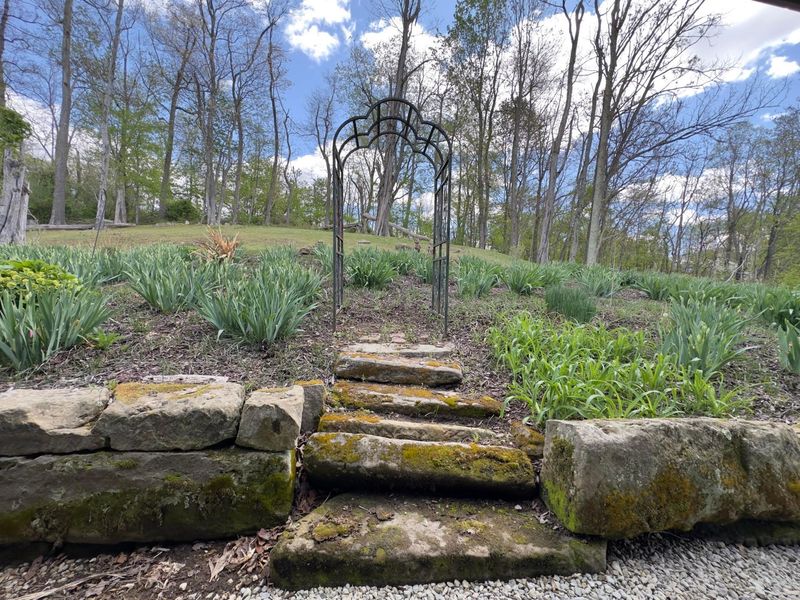 33165 Blackburn Road, Logan, OH 43138 Photo 32