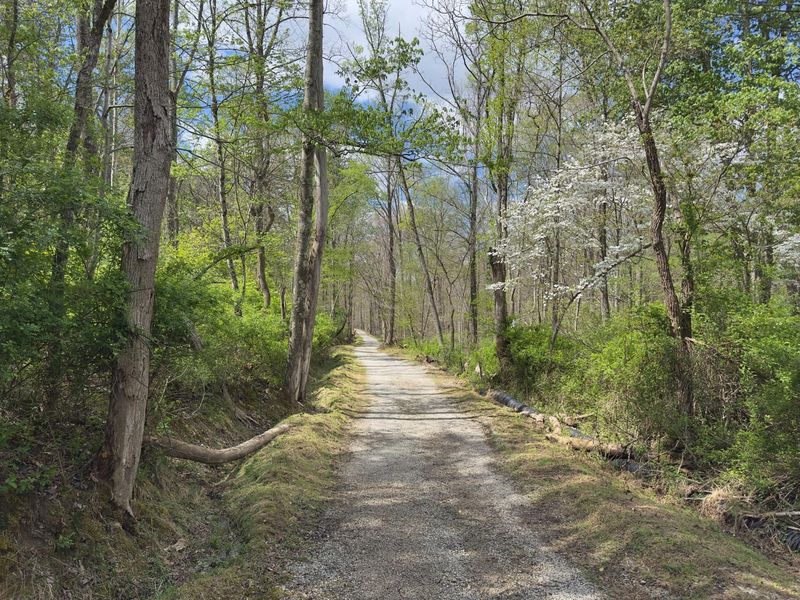 33165 Blackburn Road, Logan, OH 43138 Photo 38