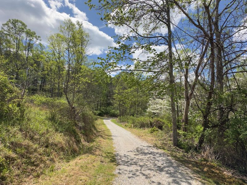 33165 Blackburn Road, Logan, OH 43138 Photo 39