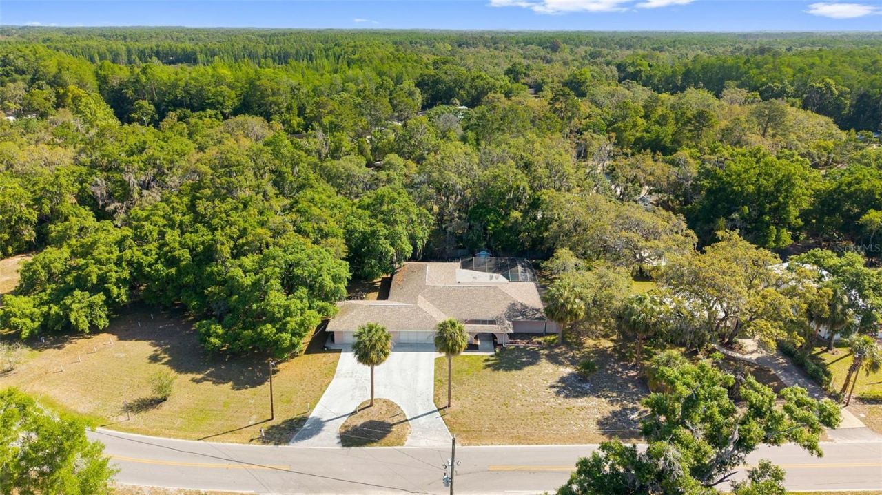 8976 Lake Drive, New Port Richey, FL 34654 Photo