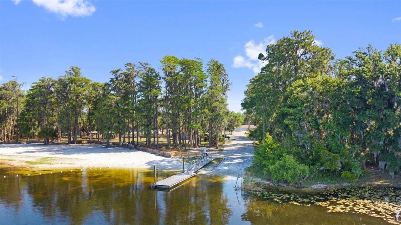 8976 Lake Drive, New Port Richey, FL 34654 Photo