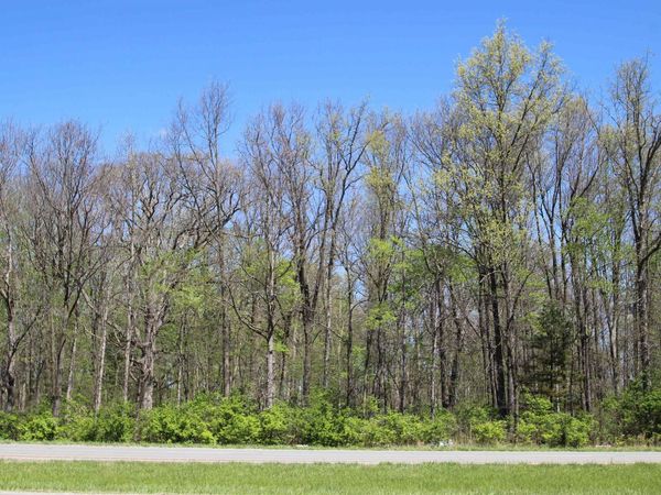 0 Hessler & Benton Road, Muncie, IN 47304