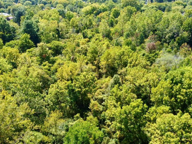 4400 Rainbrook Way, Dayton, OH 45424 Photo 5