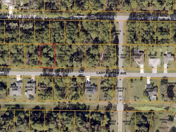 LADY SLIPPER AVENUE , NORTH PORT, FL 34291