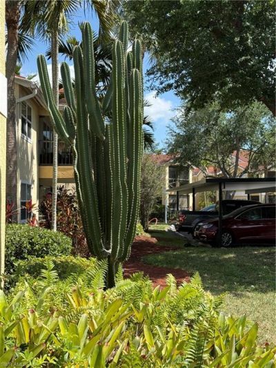 12561 Equestrian Cir, Unit 802, Fort Myers, FL 33907 Photo