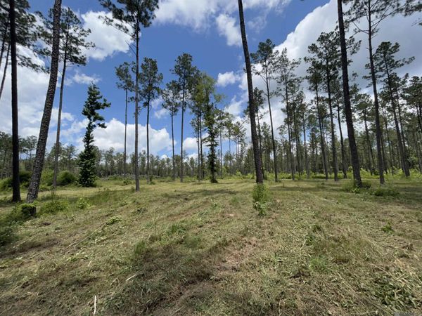 14856 Pace Rd, Clinton, LA 70722