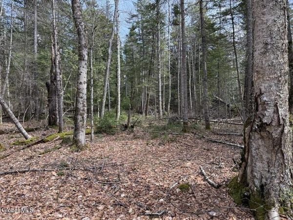 L34.1 Youngs Road, Unit #1, Schroon Lake, NY 12870