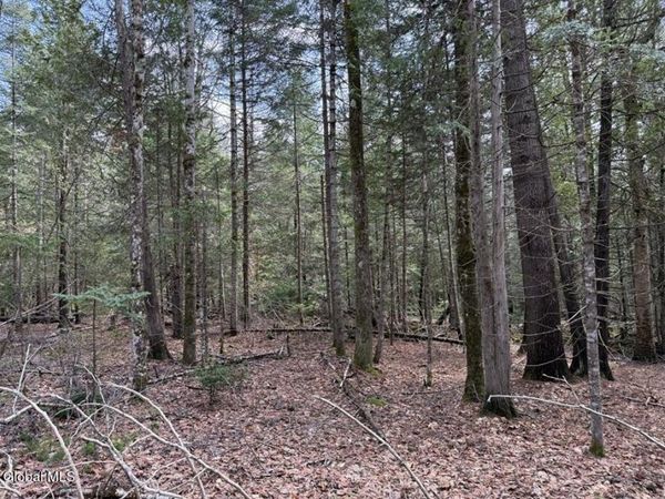 L34.2 Youngs Road, Unit #2, Schroon Lake, NY 12870