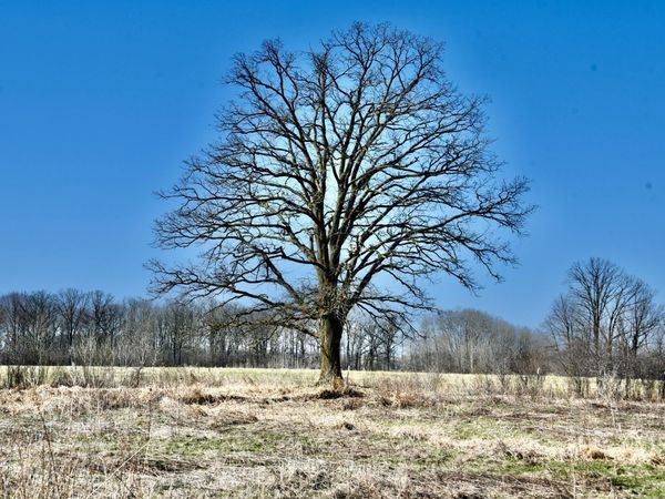 19XXX 150th Avenue , Milaca, MN 56353