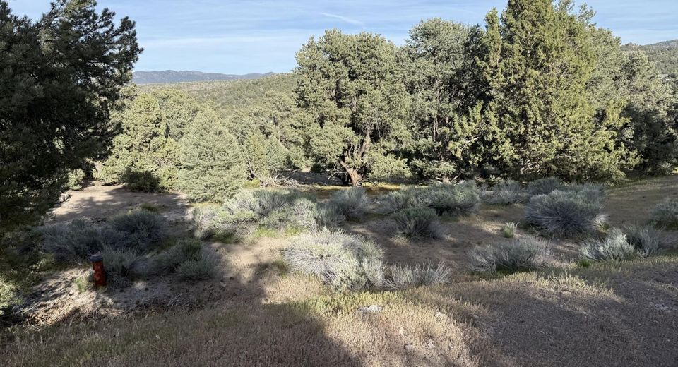 2221 Bulette Road, Reno, NV 89521 Photo
