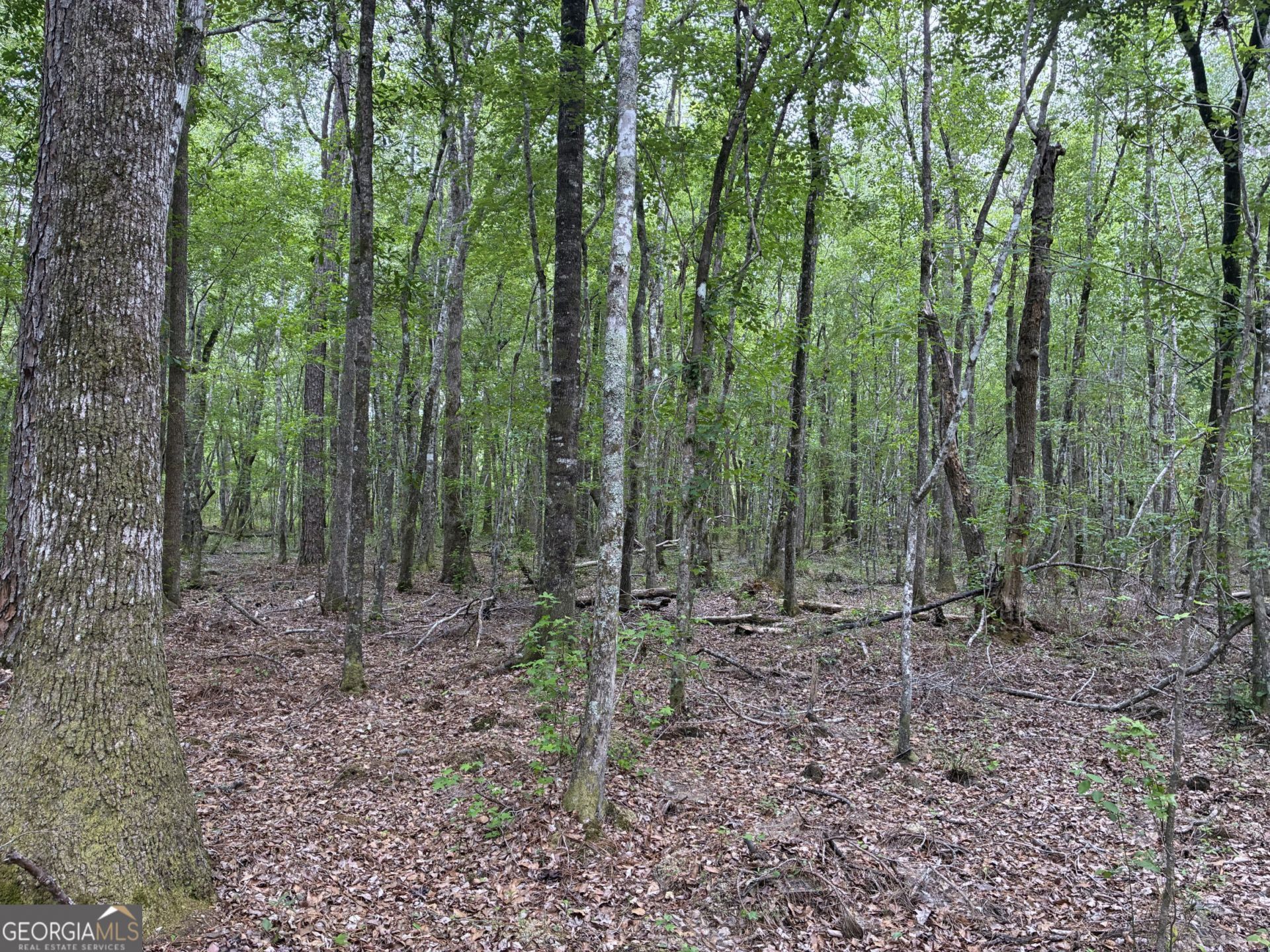 734 Archer Pond Smith Road, Adrian, GA 31002 Main Photo