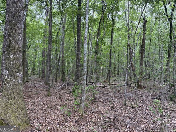 734 Archer Pond Smith Road, Adrian, GA 31002