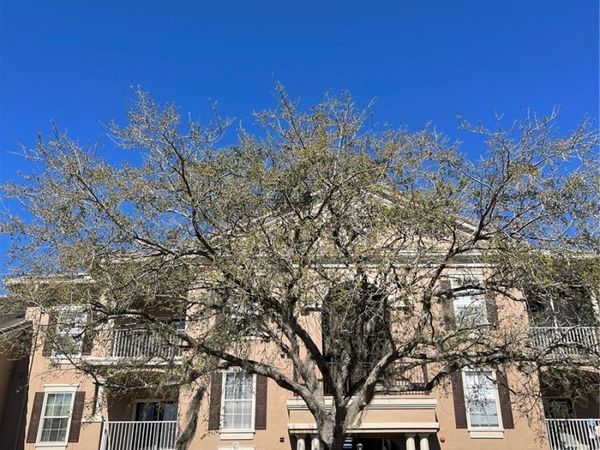 2001 TIZEWELL CIRCLE , Unit 1504, ORLANDO, FL 32837