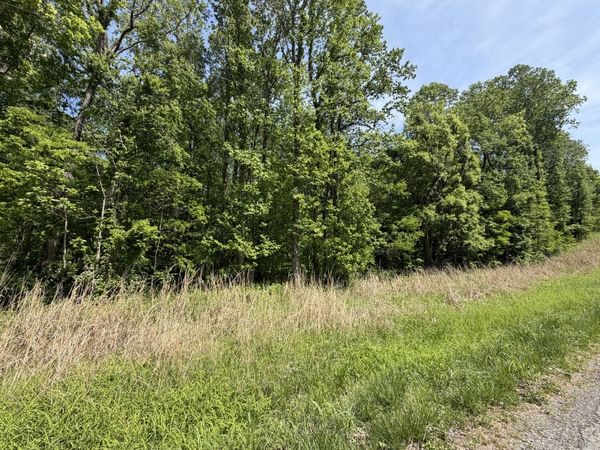 0000 Tower Rock Road , Elizabethtown, IL 62931