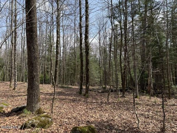 L34.3 Youngs Road, Unit #3, Schroon Lake, NY 12870