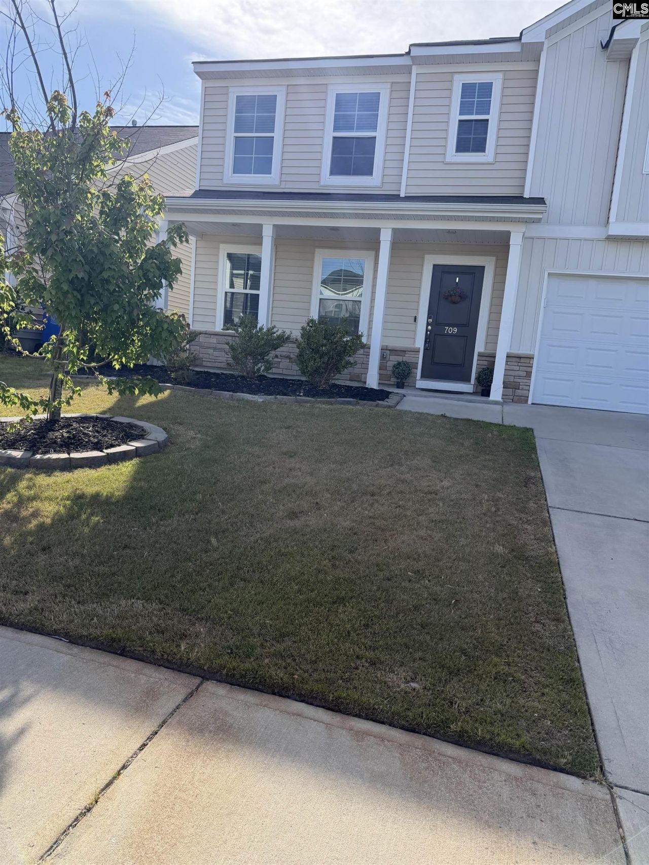 709 Pink Rose  Photo 24