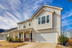 709 Pink Rose  photo 4