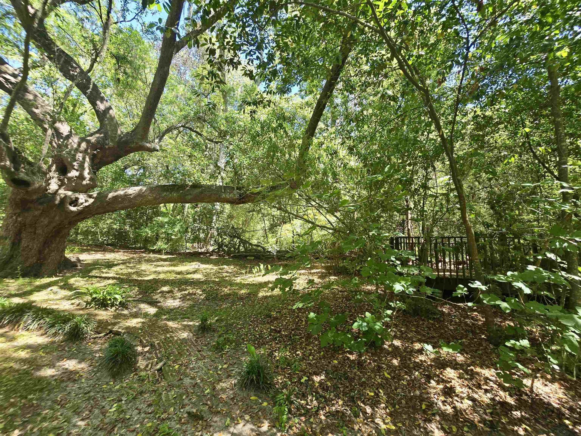 727 Miccosukee Road, Tallahassee, FL 32308 Photo