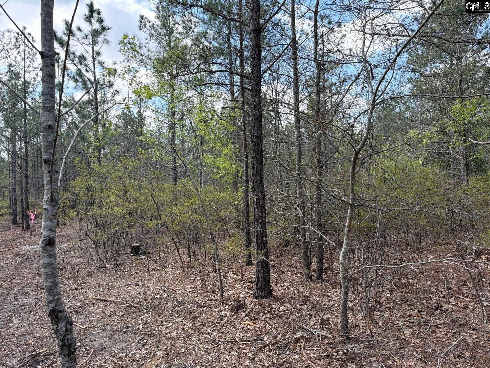 Ca 3 Mt. Calvary Road  Photo 10